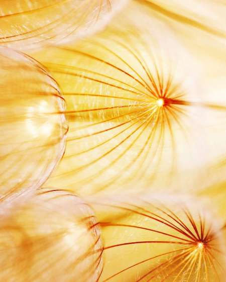 pour femme joindre l'utile � l agr�able