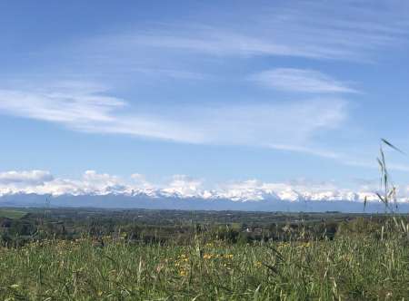  Jeune homme cherchant une femme mature