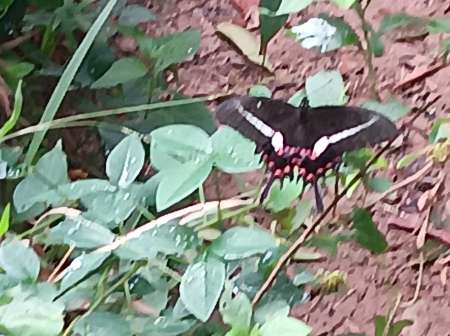 léchages gratuit pour femme