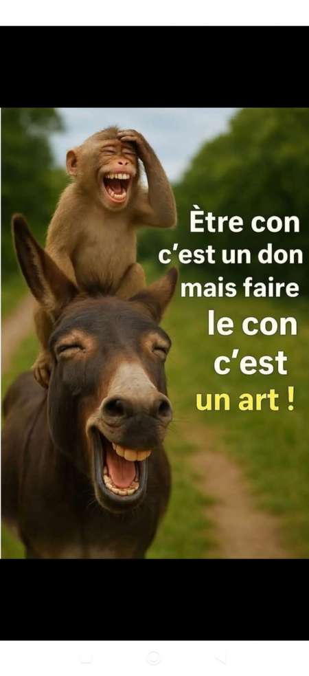 Rencontre femme m�re