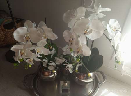 Belle femme blonde 49 ans, fran�aise...