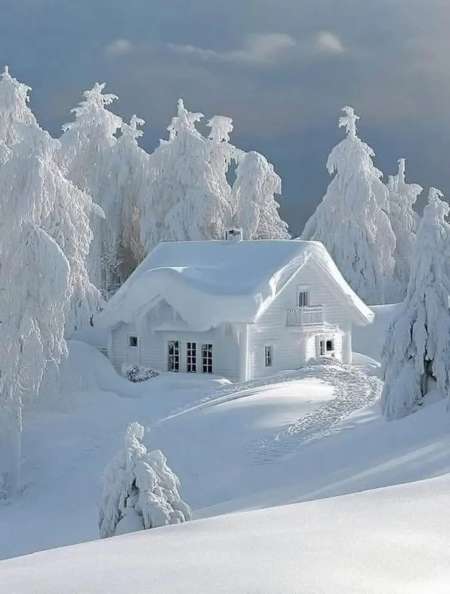 Cherche deux vieux pour sc�narios