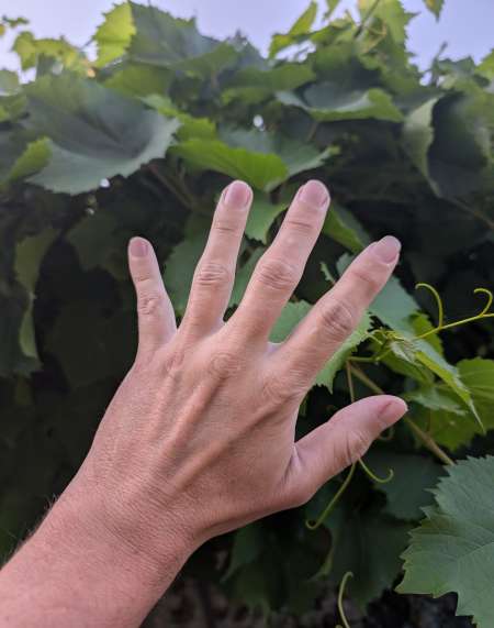 Essayer toutes nouvelles exp�riences !