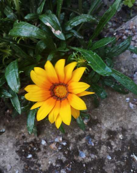 Pour vous mesdames 50 a 73 ans