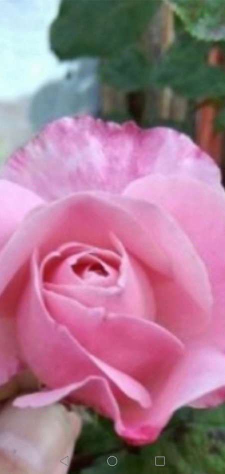 pour femme qui veut joindre l'utile � l agr�able