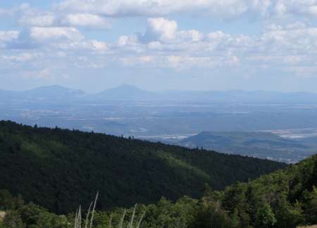 jeune black de 42 ans cherche femme