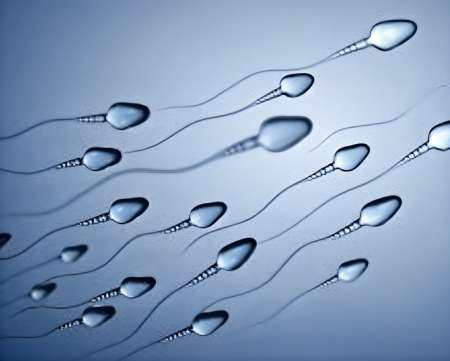 SPERME a recolter par vous m�me