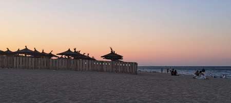 Gentleman �l�gant