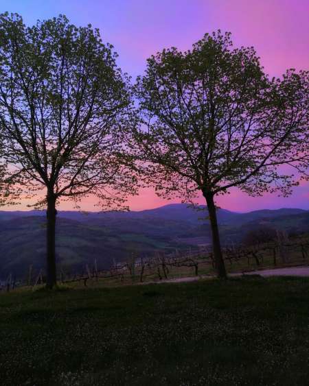 L'�veil des Sens : Parenth�se de Soie