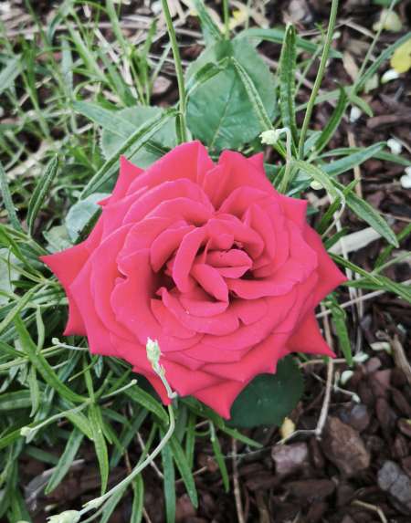 Recherche femme ronde pour sex