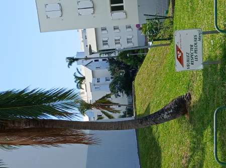 Homme actif pour couple