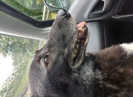 Recherche de ma destin�e