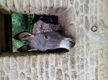 envie d un homme pour une femme ou un couple cando