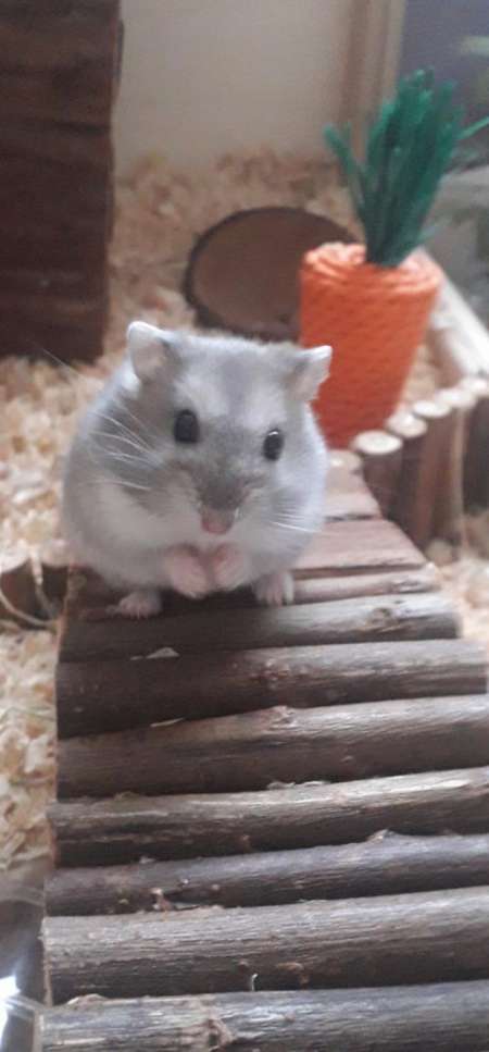 Rencontre femme pour homme sympa