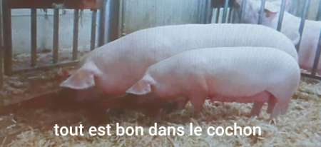 Deux hommes Soumis maso