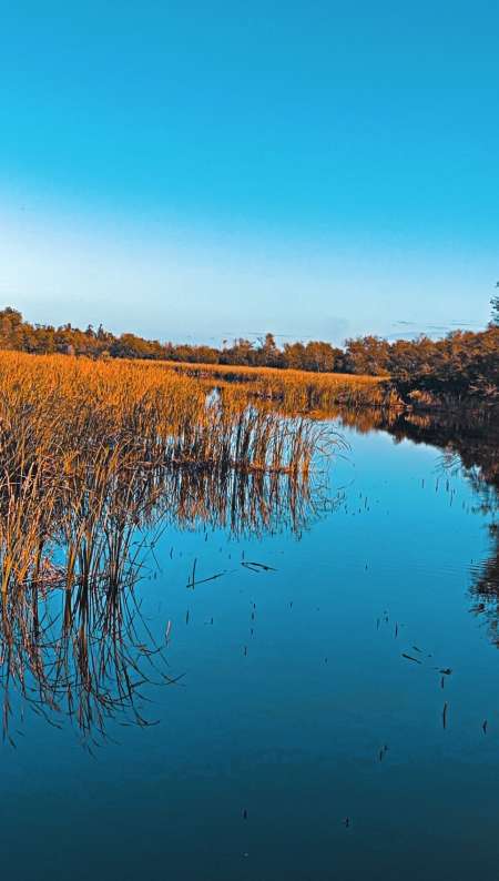 Sortire prendre l air