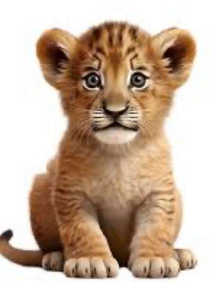 Rencontre Adulte H�t�ro