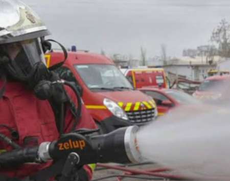 �talon Volage Sauvage