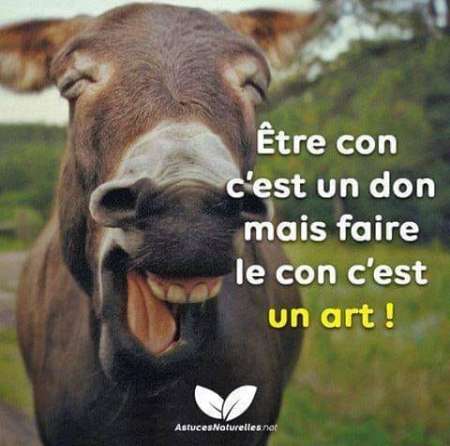 cherche femmes ou couples