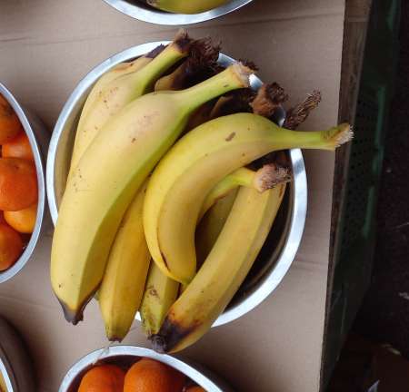 Je cherche � sucer une bonne jeune queue magrebin