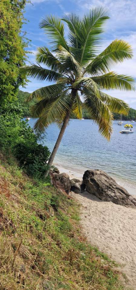 H55 bi pour partager