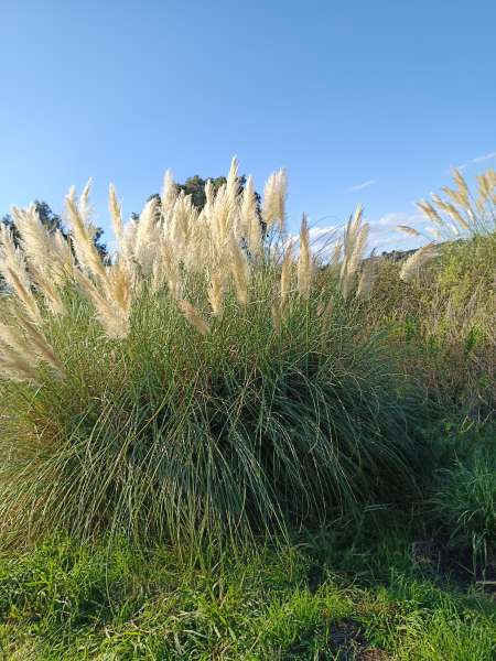 rencontre sans lendemain