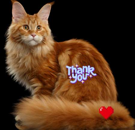 POUR MONSIEUR D'�GE MUR SUR RDV