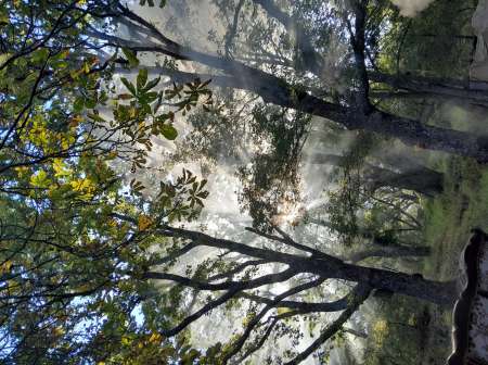 Jeune homme 36 ans dispo