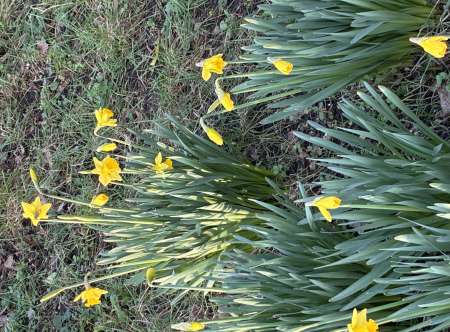 Homme Jeune Femme, �tudiante bienvenue