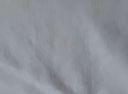 Cherche plaisir mutuelles