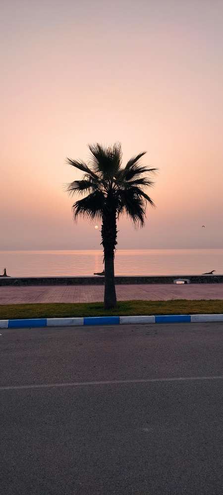 JH pour homme mur sur lyon