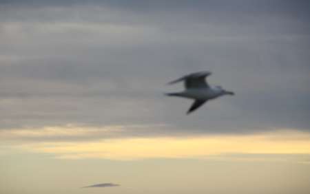 Homme noir gourmand pour belle femme gourmande