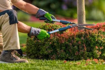 Entretien jardin pour femmes