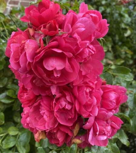 Soumis Open mind sans tabou re�oit femme ou trans