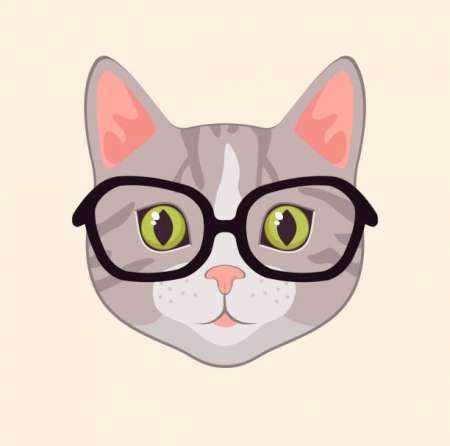 H60 ans cherche F40 ans et plus pour sauna