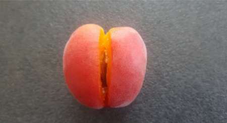 Recherche un bon moment