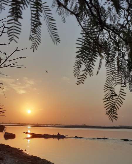 Lope passive soumise