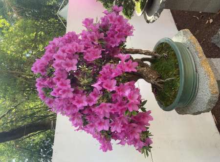 Couple la 30aine m�tisse cherche une fille