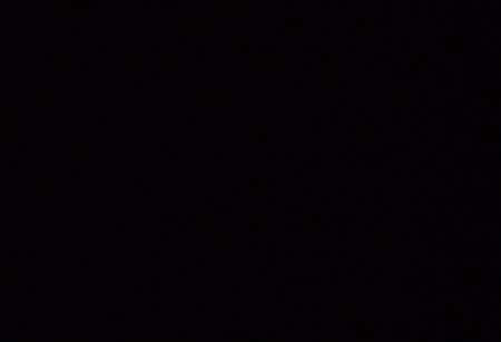 Recherche exp�rience scato