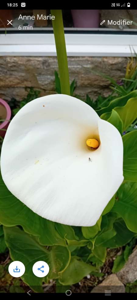 Homme pose pour photos, vid�os.