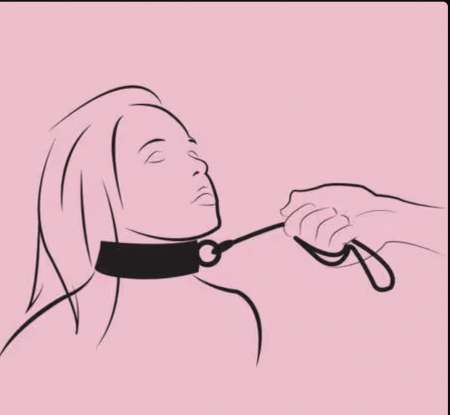 Dominant rassurant   cherche sa chienne