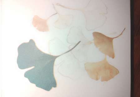 Homme rech une femme pour rencontre en journ�e