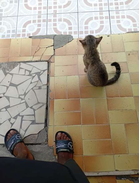 Rencontre femme.....