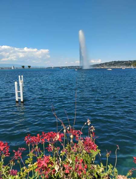 Dominant actif BM cool