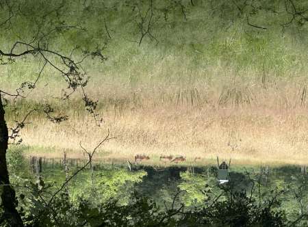 Recherche femme 50 � 70 ans pour rencontre coquine