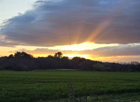 Homme cherche femme pour fantasme