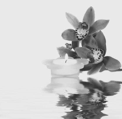 Cherche le massage reciproque