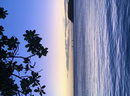 Actuellement en Martinique