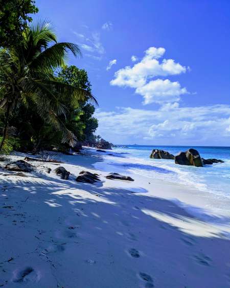 Envie d'une dominatrice