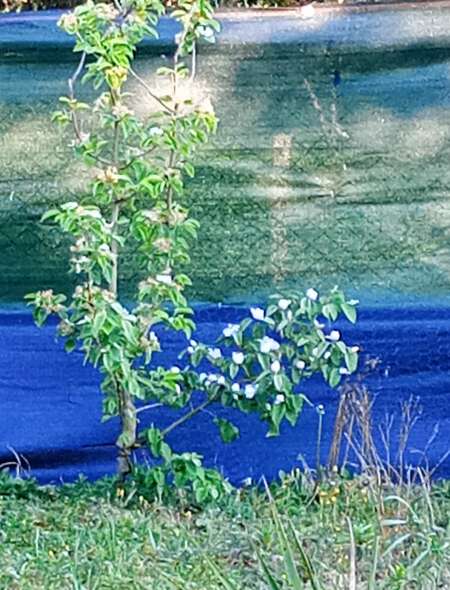 Cherche coquine en Dr�me des collines